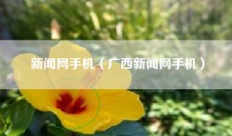 新闻网手机（广西新闻网手机）
