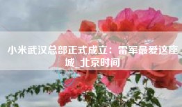 小米武汉总部正式成立：雷军最爱这座城_北京时间