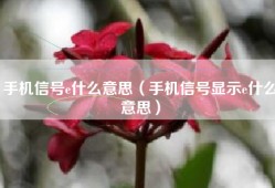 手机信号e什么意思（手机信号显示e什么意思）