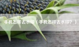 手机怎样去水印（手机怎样去水印？）
