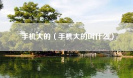 手机大的（手机大的叫什么）