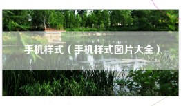 手机样式（手机样式图片大全）