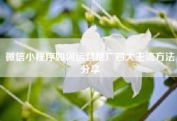 微信小程序如何运营推广四大主流方法分享