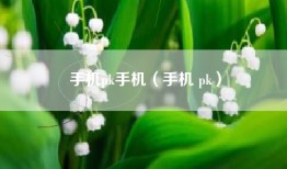 手机pk手机（手机 pk）