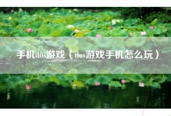手机dos游戏（dos游戏手机怎么玩）