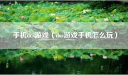 手机dos游戏（dos游戏手机怎么玩）