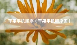 苹果手机顺序（苹果手机顺序表）