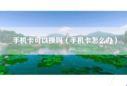 手机卡可以换吗（手机卡怎么办）