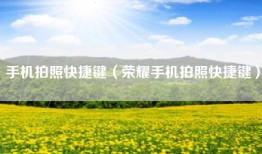 手机拍照快捷键（荣耀手机拍照快捷键）