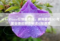 AI for Process引领新布局，神州数码2024年度业绩说明会解读AI加速度