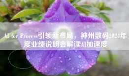 AI for Process引领新布局，神州数码2024年度业绩说明会解读AI加速度