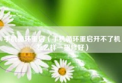 手机循环重启（手机循环重启开不了机怎么样一招修好）