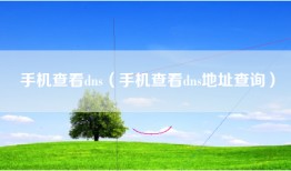 手机查看dns（手机查看dns地址查询）