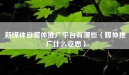 新媒体自媒体推广平台有哪些（媒体推广什么意思）