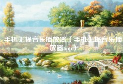 手机无损音乐播放器（手机无损音乐播放器app）