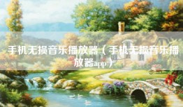 手机无损音乐播放器（手机无损音乐播放器app）