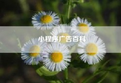 小程序广告百科