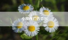 小程序广告百科