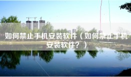如何禁止手机安装软件（如何禁止手机安装软件？）