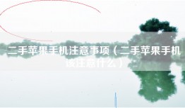 二手苹果手机注意事项（二手苹果手机该注意什么）