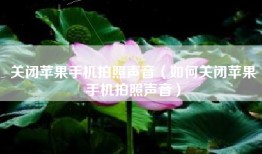 关闭苹果手机拍照声音（如何关闭苹果手机拍照声音）