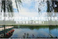 苹果手机打字卡顿（苹果手机打字卡顿反应慢是什么原因）