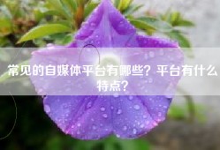 常见的自媒体平台有哪些？平台有什么特点？