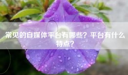 常见的自媒体平台有哪些？平台有什么特点？