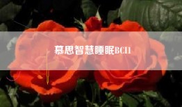 慕思智慧睡眠BCI1