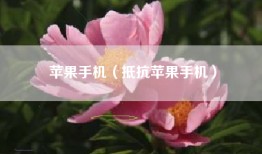 苹果手机（抵抗苹果手机）