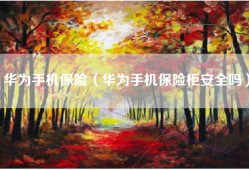 华为手机保险（华为手机保险柜安全吗）