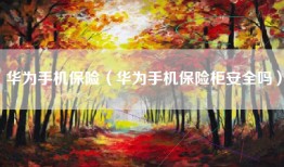 华为手机保险（华为手机保险柜安全吗）