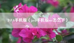 JAVA手机版（java手机版mc怎么下）