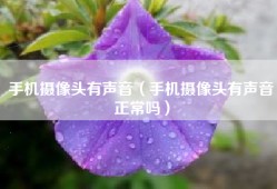 手机摄像头有声音（手机摄像头有声音正常吗）