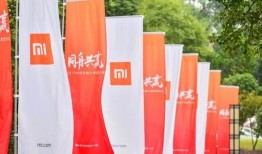 雷军：这个像风一样的男神 让全球电子巨头云集仙桃 让世界瞩目仙桃