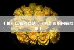 手机可以看的网站（手机能看的网站网址）