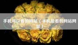 手机可以看的网站（手机能看的网站网址）