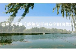 咸鱼买手机（咸鱼买手机安全吗可靠吗）