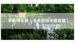 手机屏车载（手机联接车载屏幕）