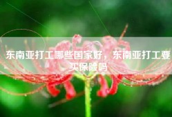 东南亚打工哪些国家好，东南亚打工要买保险吗