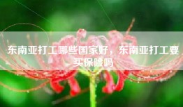 东南亚打工哪些国家好，东南亚打工要买保险吗