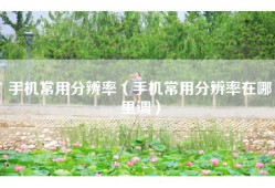 手机常用分辨率（手机常用分辨率在哪里调）