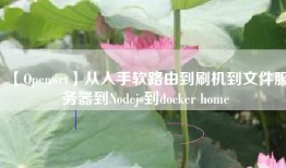 【Openwrt】从入手软路由到刷机到文件服务器到Nodejs到docker home