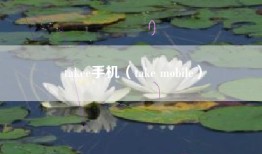 takee手机（take mobile）