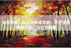 深度解析，小红书种草攻略，手把手教你高效推广与打卡秘籍