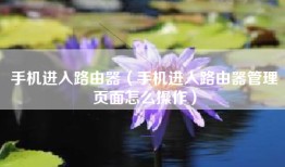 手机进入路由器（手机进入路由器管理页面怎么操作）