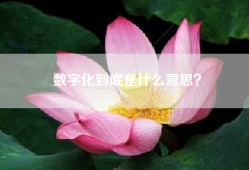 数字化到底是什么意思？