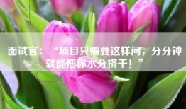 面试官：“项目只需要这样问，分分钟就能把你水分挤干！”