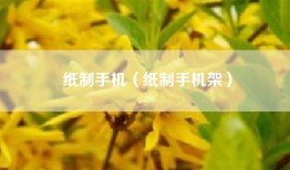 纸制手机（纸制手机架）