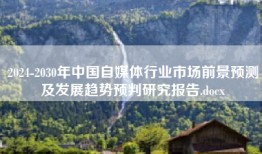 2024-2030年中国自媒体行业市场前景预测及发展趋势预判研究报告.docx